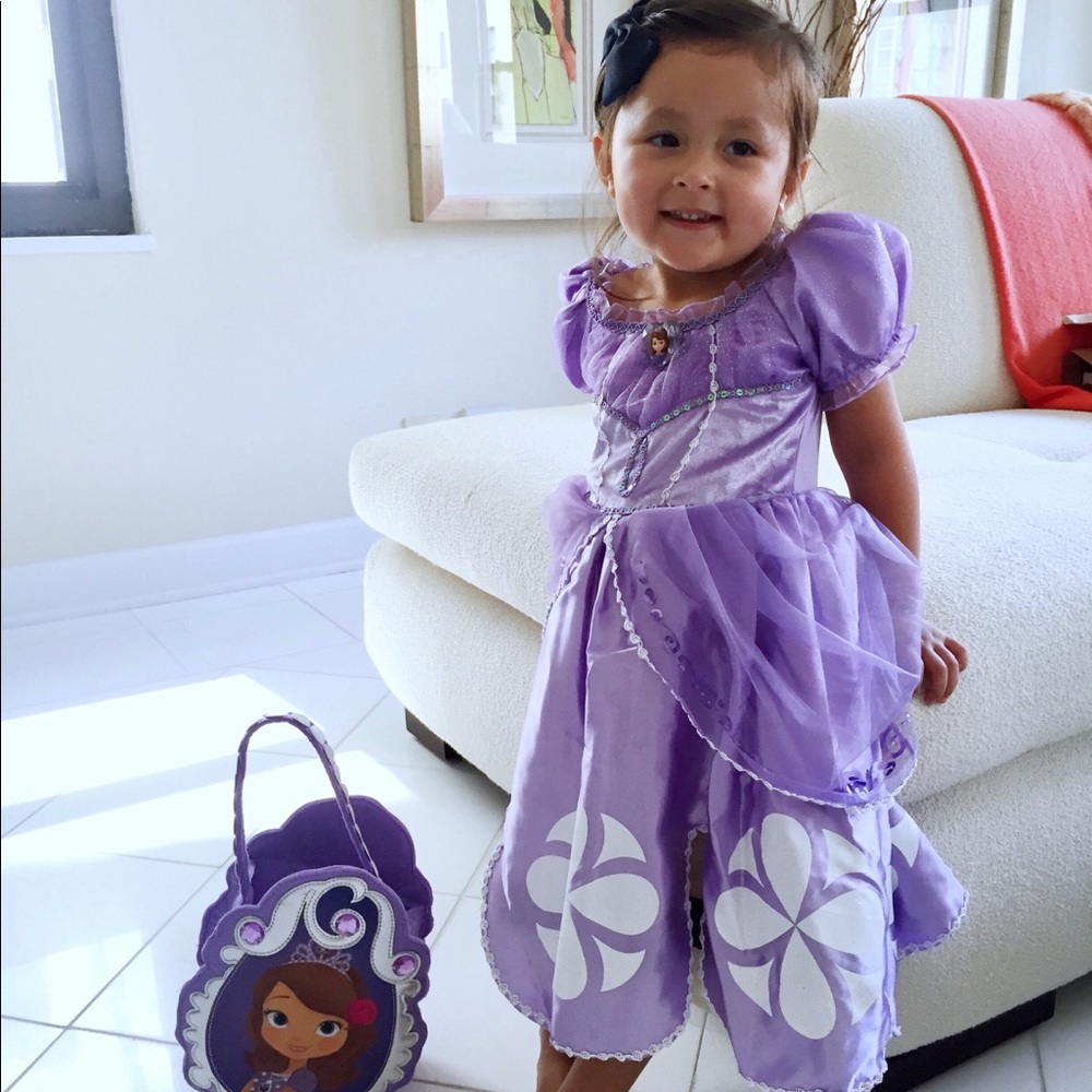Princess Sophia Halloween Costume & TrickTreat bag